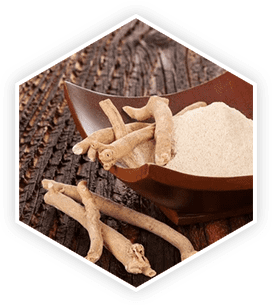 Ashwagandha root — an ancient Ayurvedic adaptogen