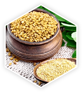 Fenugreek seeds — a traditional spice with hormonal benefits