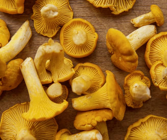 0chanterelle