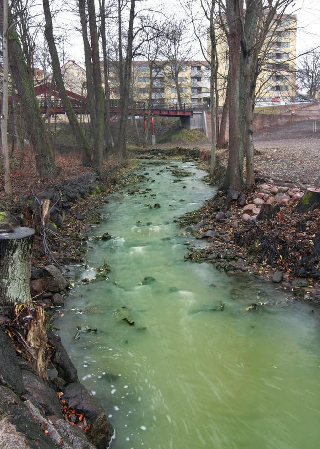 mycoremediation polluted river green mycofiltration 1 