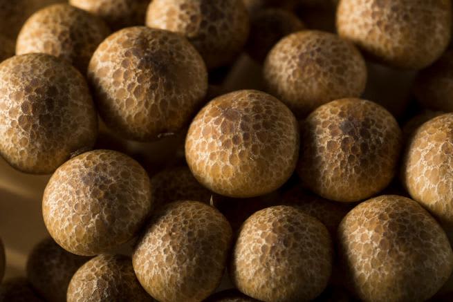 Top view of beech mushrooms