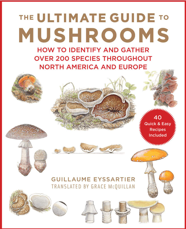 Ultimate guide to mushrooms book 