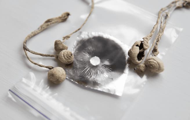 spore print1