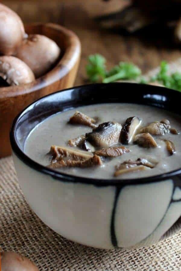 slow cooker wild mushroom soup