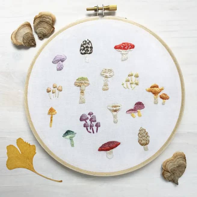 Mushrooms Embroidery Kit