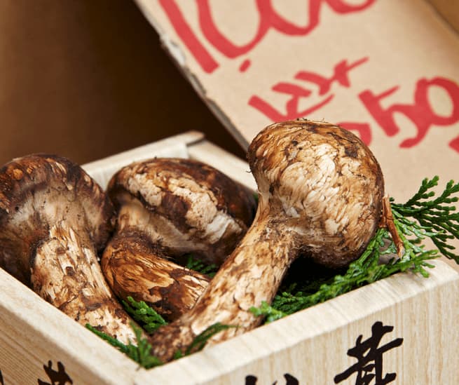 0matsutake