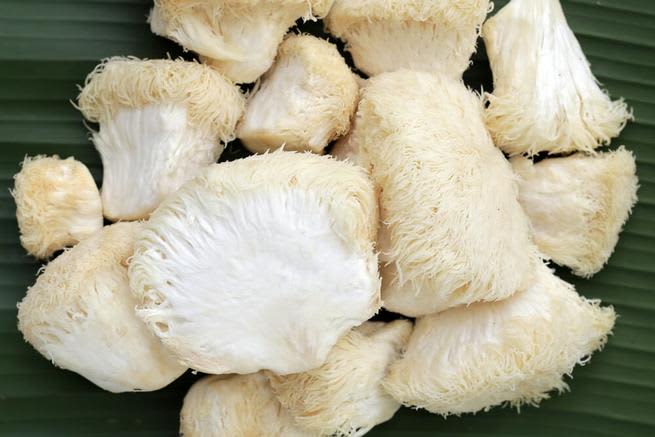 types mushrooms lions mane 1 