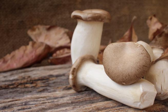 Small mushrooms on a log