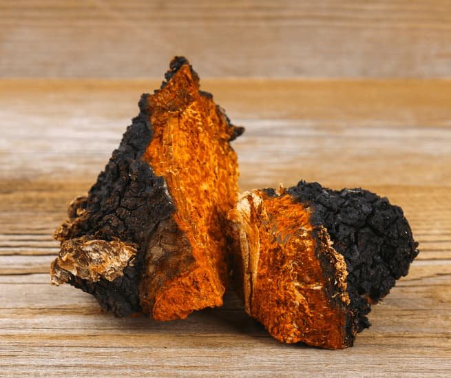 0chaga