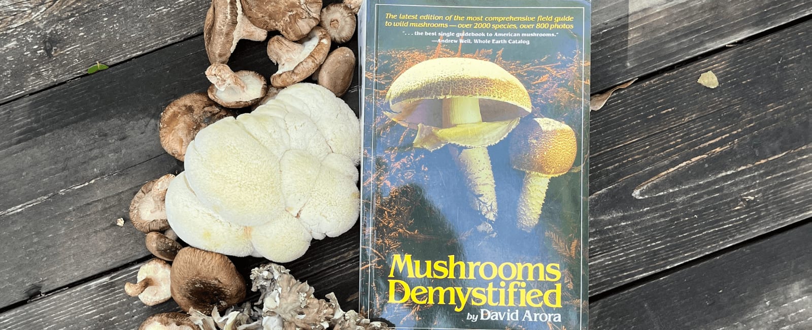 Mushrooms Demystified The Wacky, Comprehensive Field Guide for