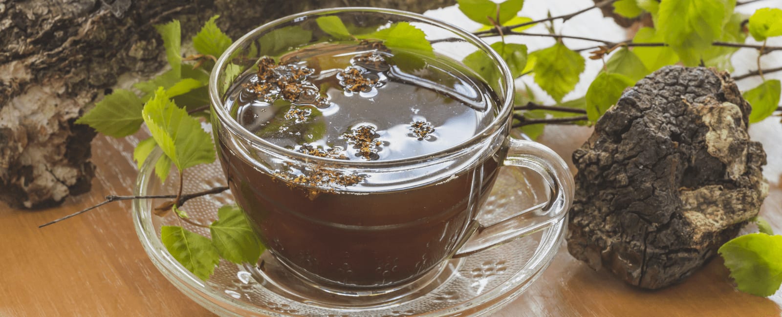 6 Soothing Mushroom Teas for Your Wellness Routine Shroomer