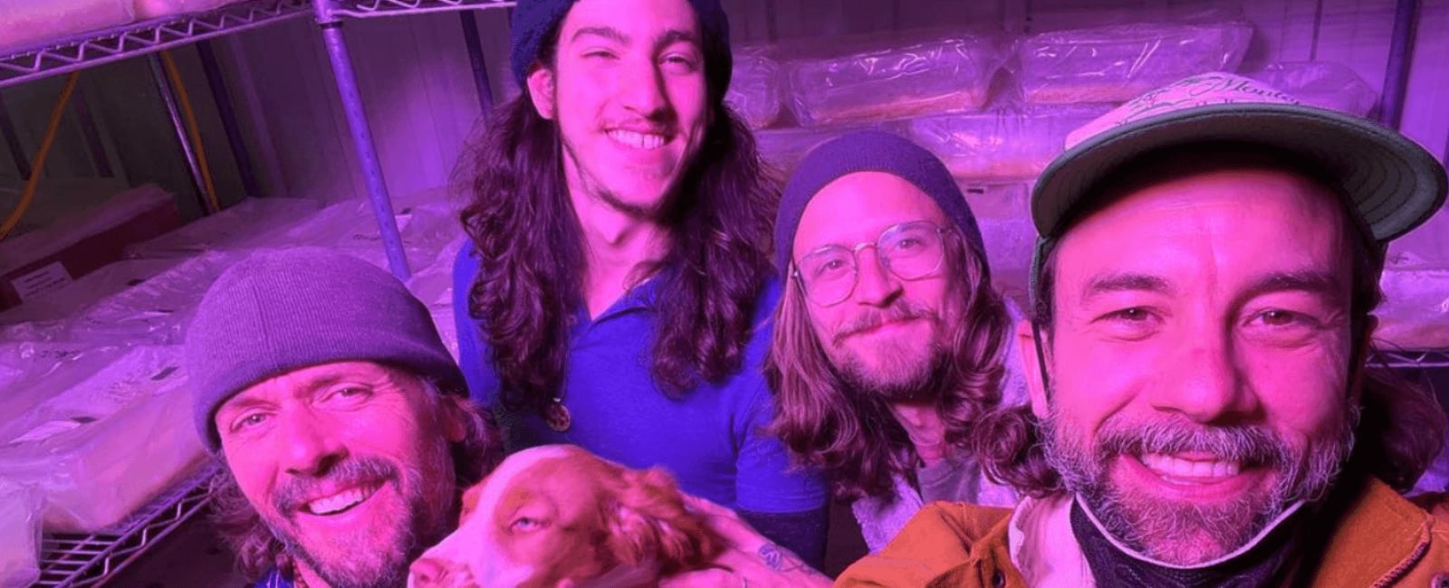 Jake Plummer’s Goal for Mushrooms Is More Than a Hail Mary Play - Shroomer