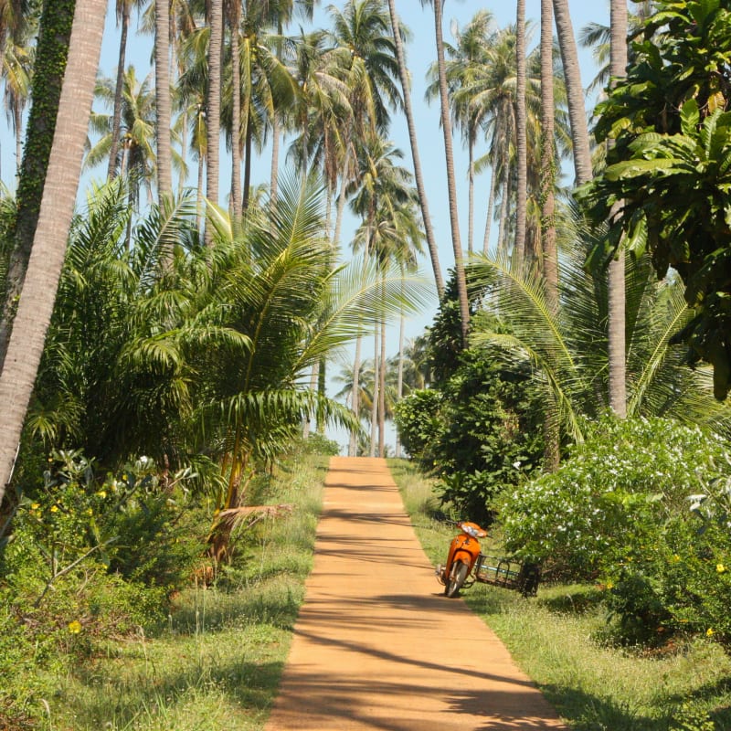 Tropical Thailand Escape