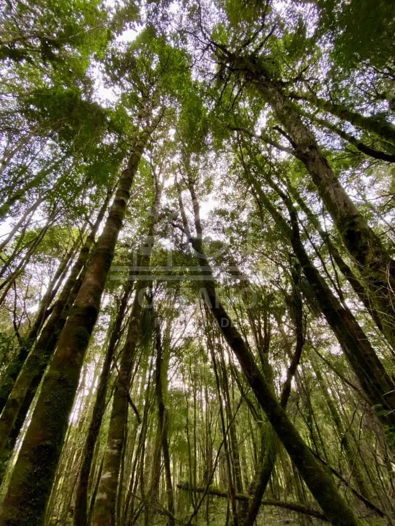 Oportunidad Parcela Agricola en Condominio en Puerto Montt