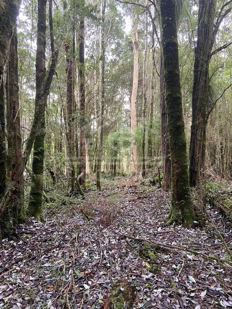 Oportunidad Parcela Agricola en Condominio en Puerto Montt