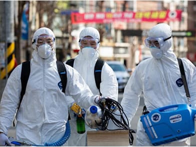 Cockroaches: Unwelcome Invaders