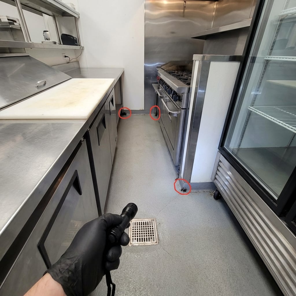 Kitchen sanitation areas