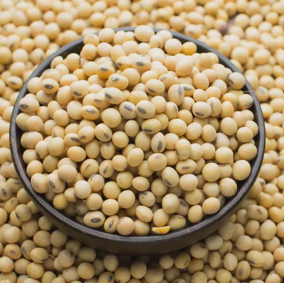 Soy