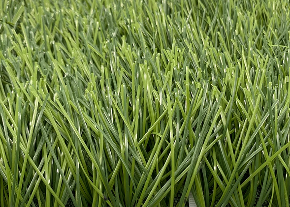 Unigrass