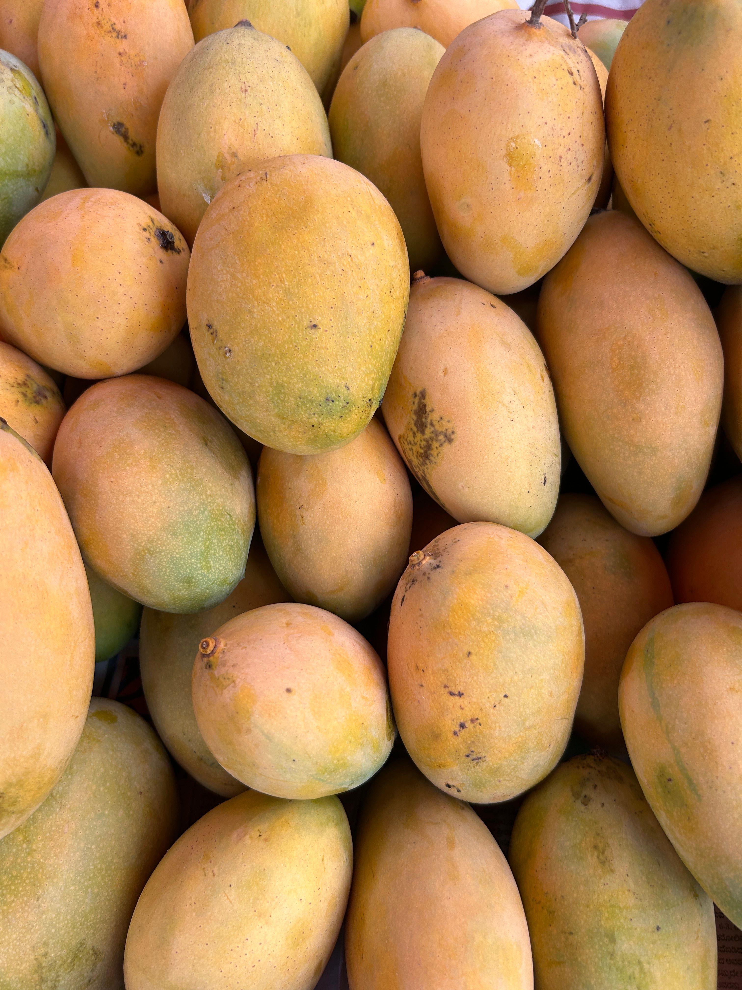 Mangoes - Box of 12