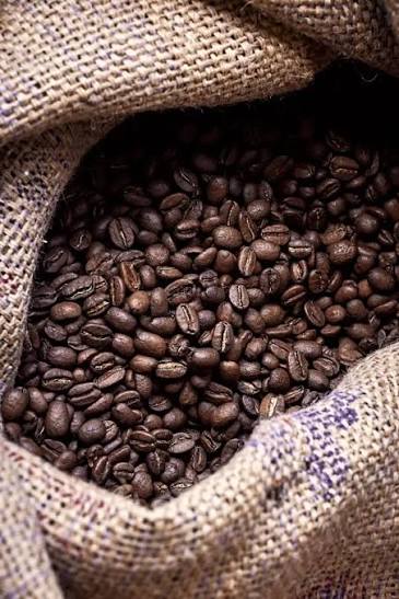 Organic Bugisu Arabica Green Coffee Beans (Grade AA)