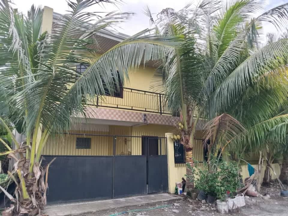 House For Rent in Lapu-Lapu City - rental in Lapu-Lapu / Mactan