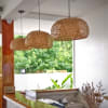 Studio Type Apartment in Panglao,Tawala - rental in Panglao - photo 1