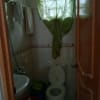 House for rent - rental in Cebu City - photo 3