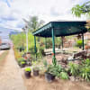 House - rental in Cebu City - photo 3