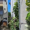 House for rent - rental in Lapu-Lapu / Mactan - photo 6