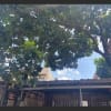 GreenWoods Pasig House Rental - rental in Pasig City - photo 6