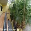 House For Rent in Lapu-Lapu City - rental in Lapu-Lapu / Mactan - photo 20