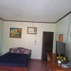 Apartments for Rent studio type in Bacong - rental in Bacong - photo 3