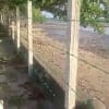 Beach Front House - rental in Pontevedra - photo 4