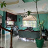 House for rent - rental in Amadeo - photo 5