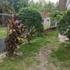 House for rent - rental in Panglao - photo 15