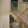 HOUSE FOR RENT PASAY - rental in Pasay City - photo 6