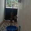 House for rent - rental in Lubao - photo 2
