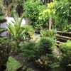 3BR House for Rent In Camalig Albay: Near Dad’s Pinangat - rental in Camalig - photo 8