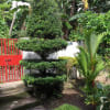 3BR House for Rent In Camalig Albay: Near Dad’s Pinangat - rental in Camalig - photo 9