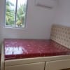 HOUSE FOR RENT ! ! ! ! - rental in Dumaguete - photo 1