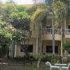 Apartment with big lawn - rental in Dumaguete - photo 2