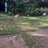 2 bedroom apartment unit - rental in Dumaguete - photo 10