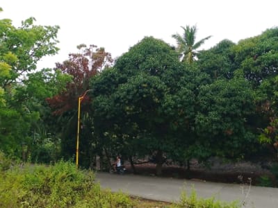 Land beside the coastal road and 300 meters from the beach area
