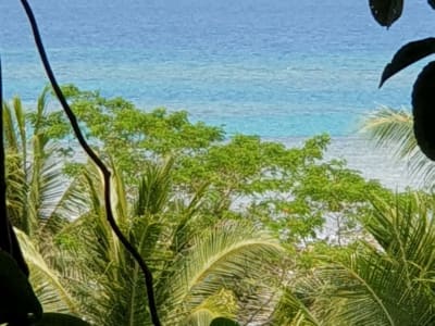 ‼️ FOR SALE: 2.9 Hectares Agricultural Beachfront Lot