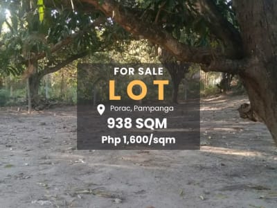 938 Sqm Lot for Sale