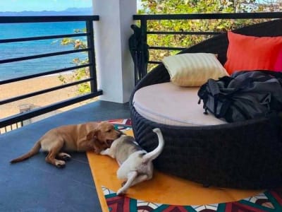 1056 sq meters lot, along the road and beach front in Pinamungajan Cebu South, Philippines