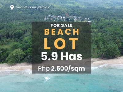 Beach Lot for Sale in Puerto Princesa City, Palawan