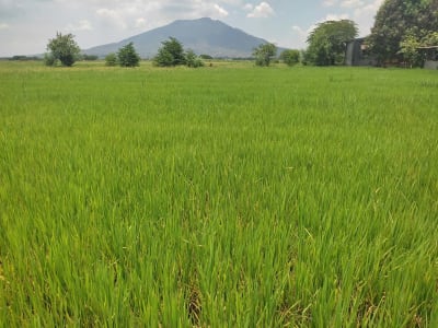 7,624 sqm Farm for Sale