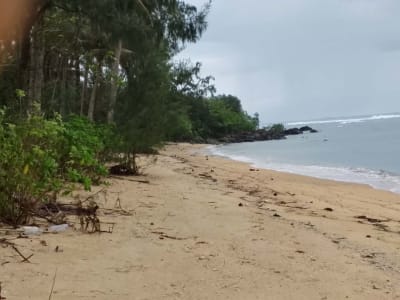 Titled agricultural property with beach front.